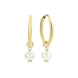 Δαχτυλίδι Delia Crest | 14k Χρυσό